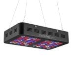 Colofocus 600W - LED élèvent la lumière