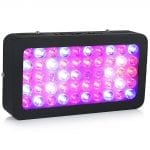 Ledgle 300W - LED Grow Light