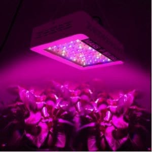 Mars Hydro 300w Light Quality