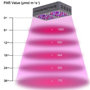 Viparspectra 300 PAR Value Heights