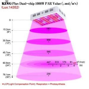 King Plus 1000W PAR