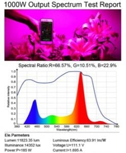 king plus 1000w spectrum