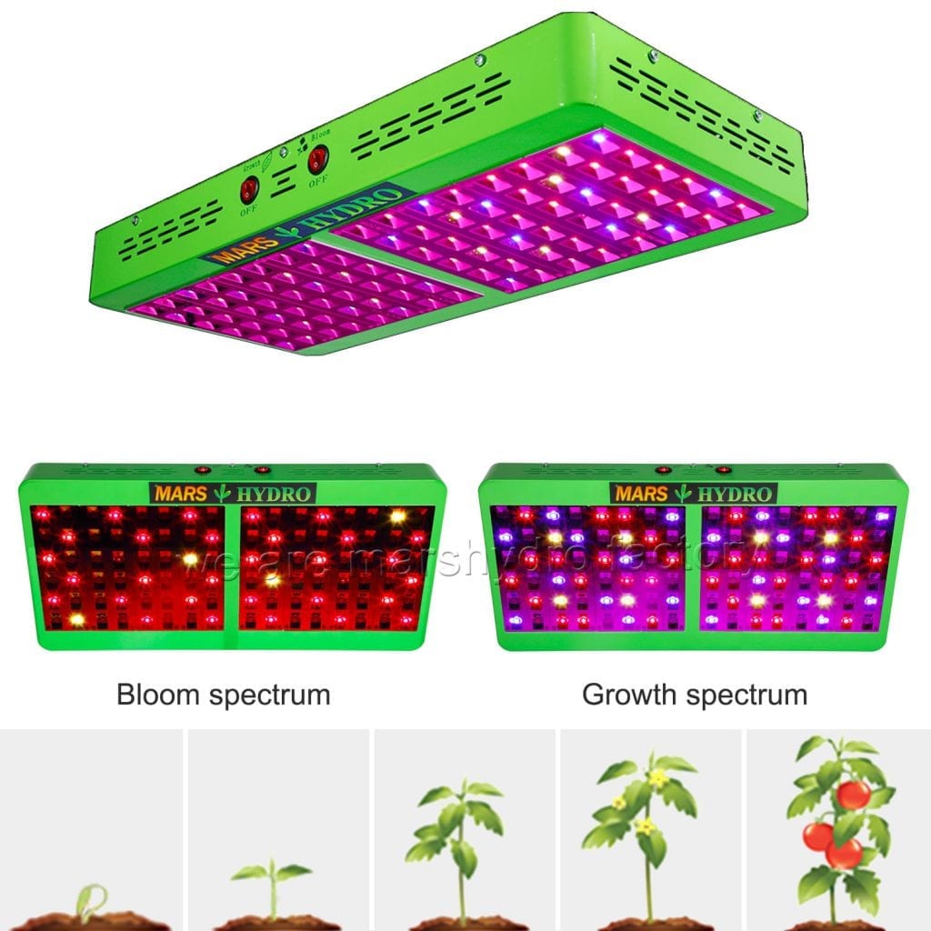 Mars Hydro Reflector 96 Growth Stages