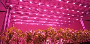 size led grow lights