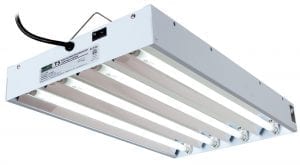 Different Types of Grow Lights - Fluorescent T5