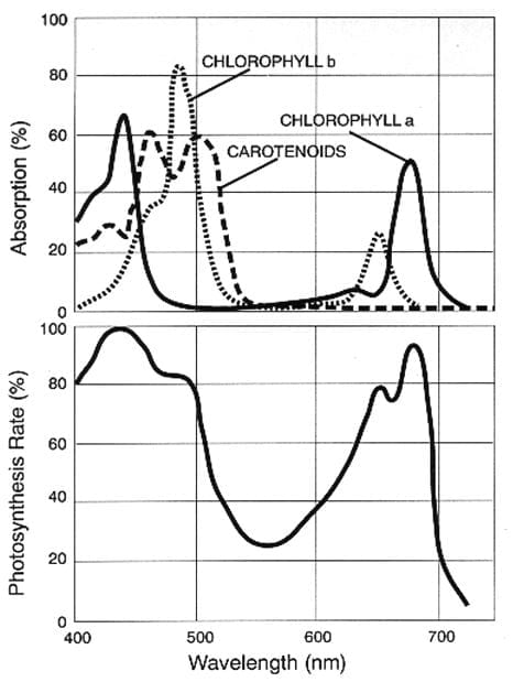 par light meter chart