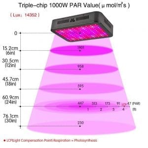 Dimgogo 1000W PAR height