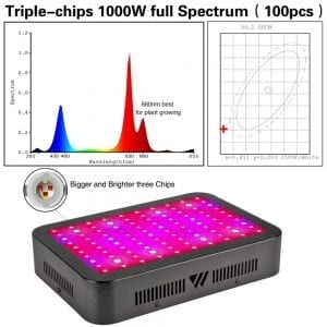 Dimgogo 1000W chips