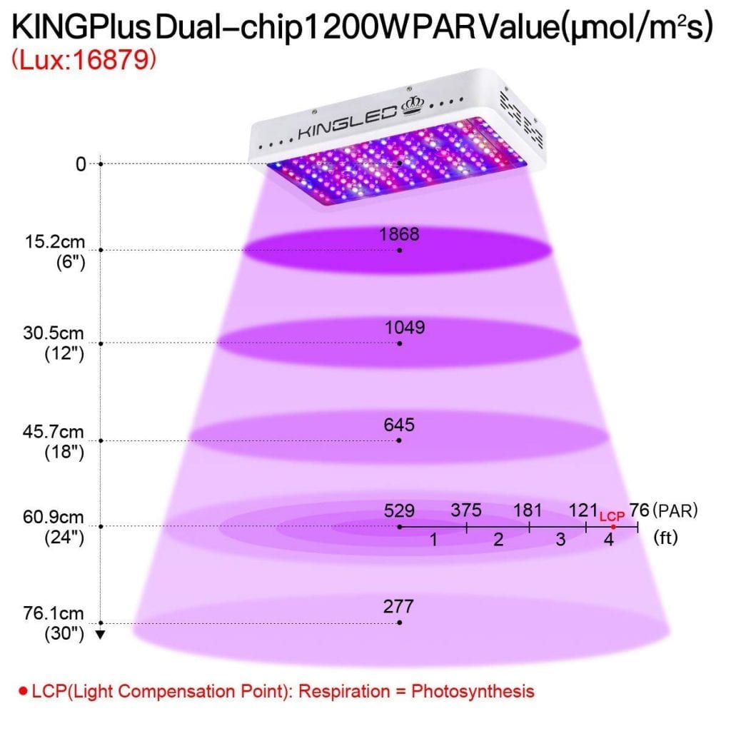 King Plus 1200W