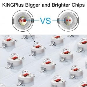 King Plus 1200W chips