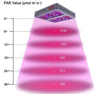 Viparspectra 900W height