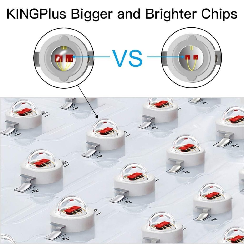 King Plus 600W chips