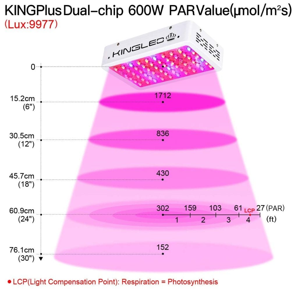 King Plus 600w PAR value