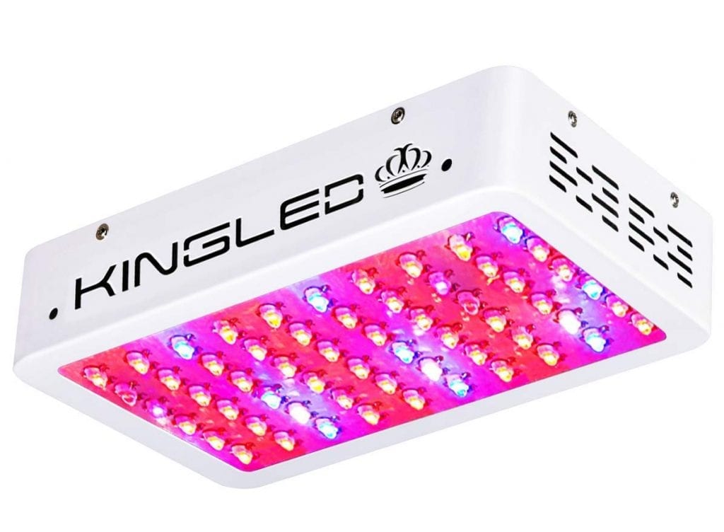 King Plus 600w LED grow light