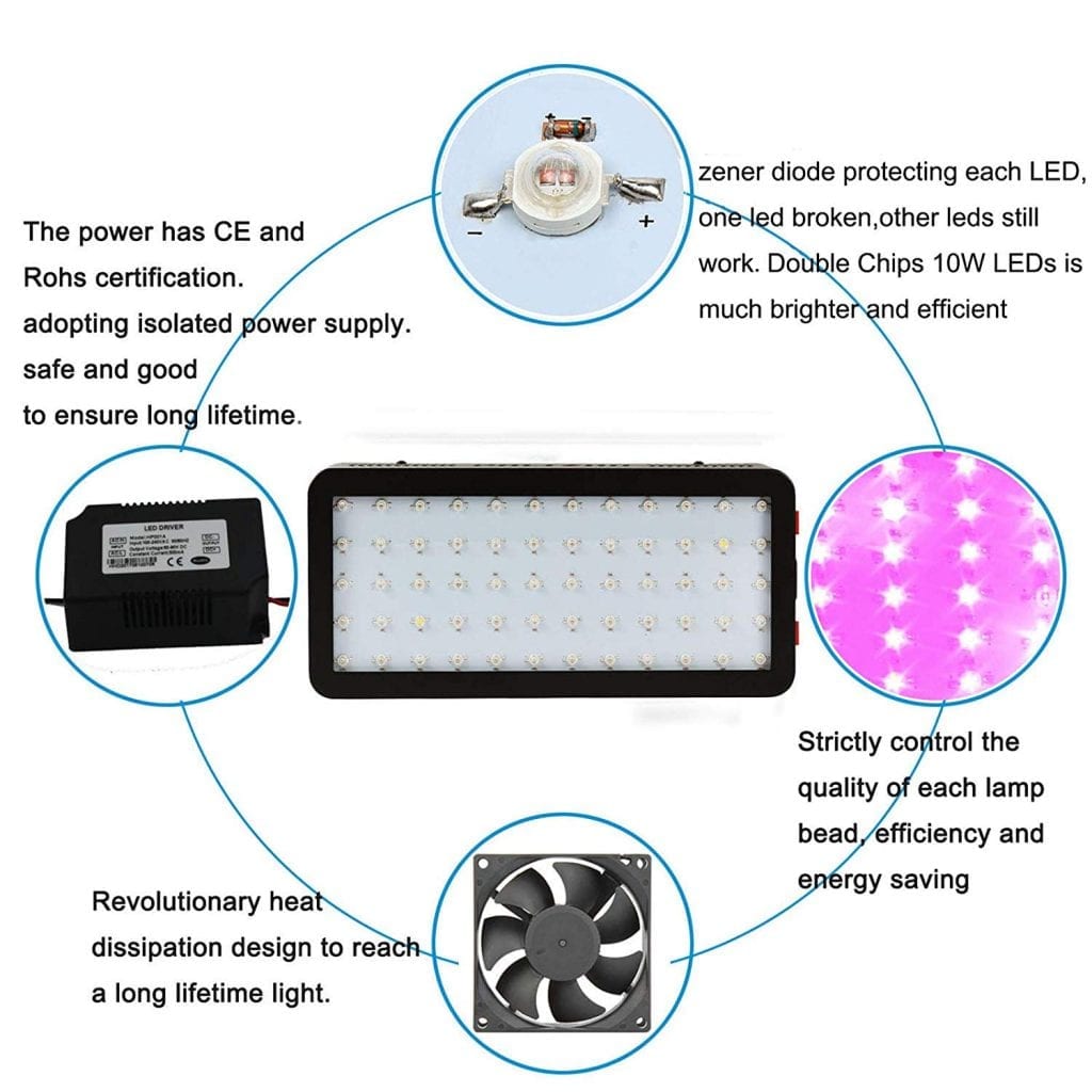 Phlizon Newest 600w features