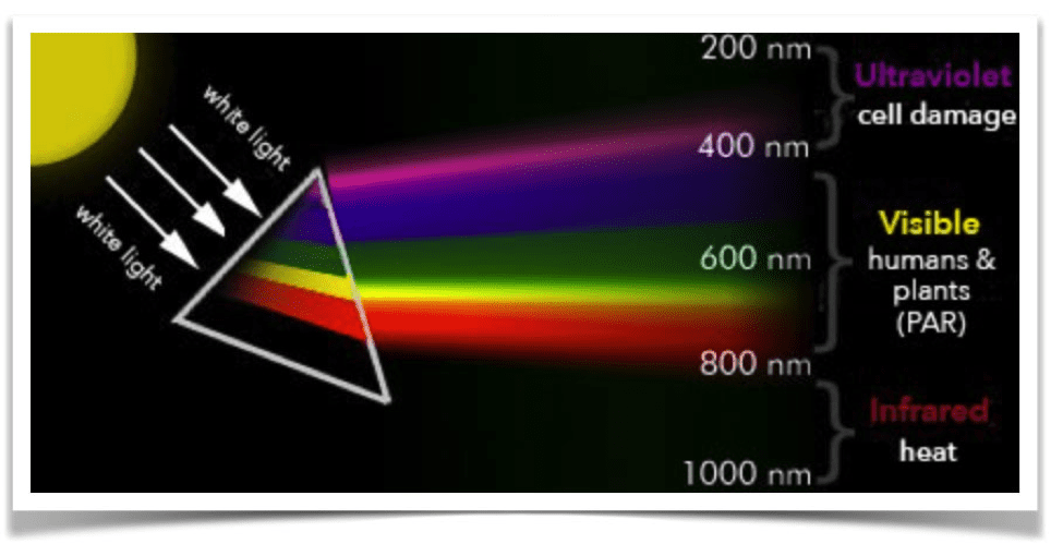 Why is PAR important - light spectrum