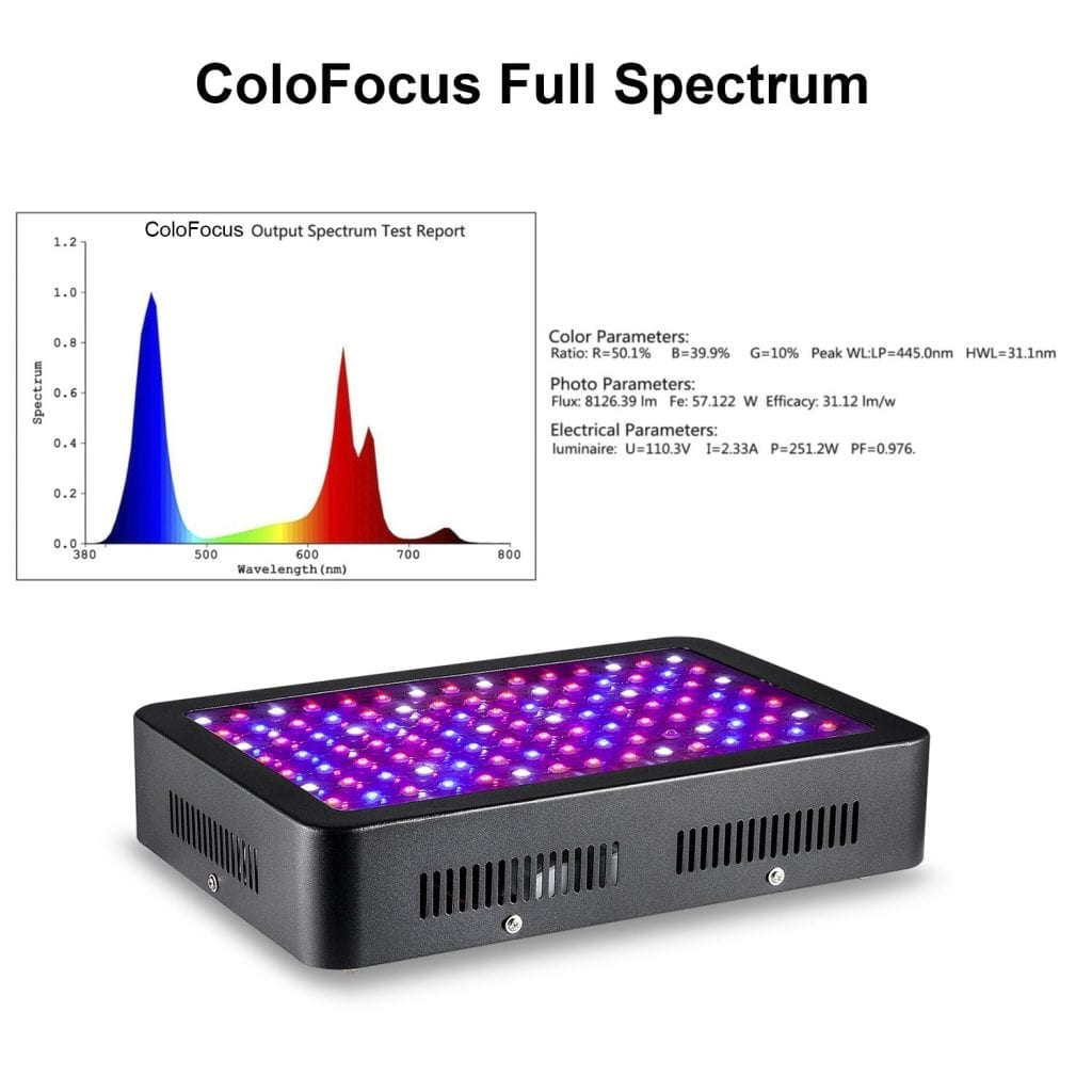 Colofocus 1000w full spectrum