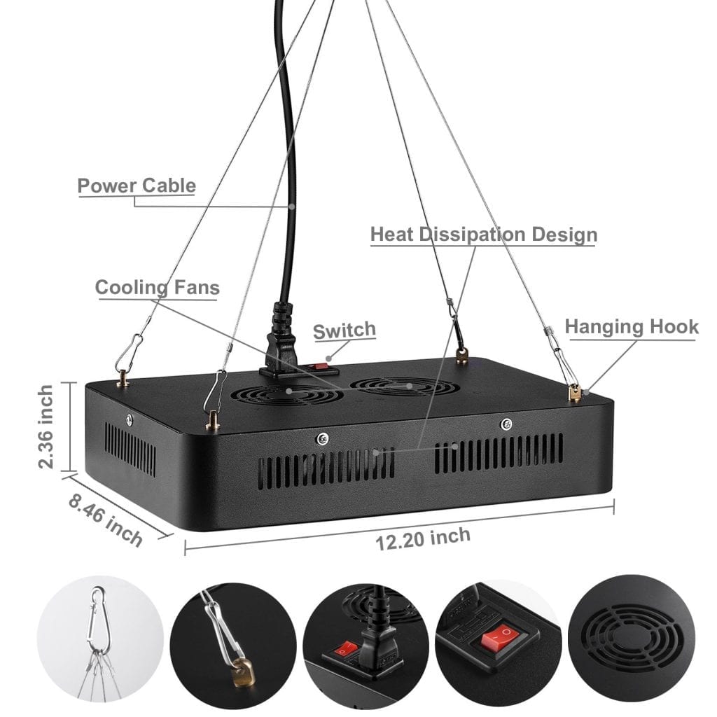 Colofocus 1000w size