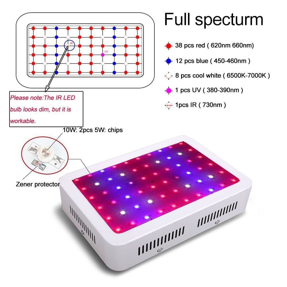 Colofocus 600w Full Spectrum