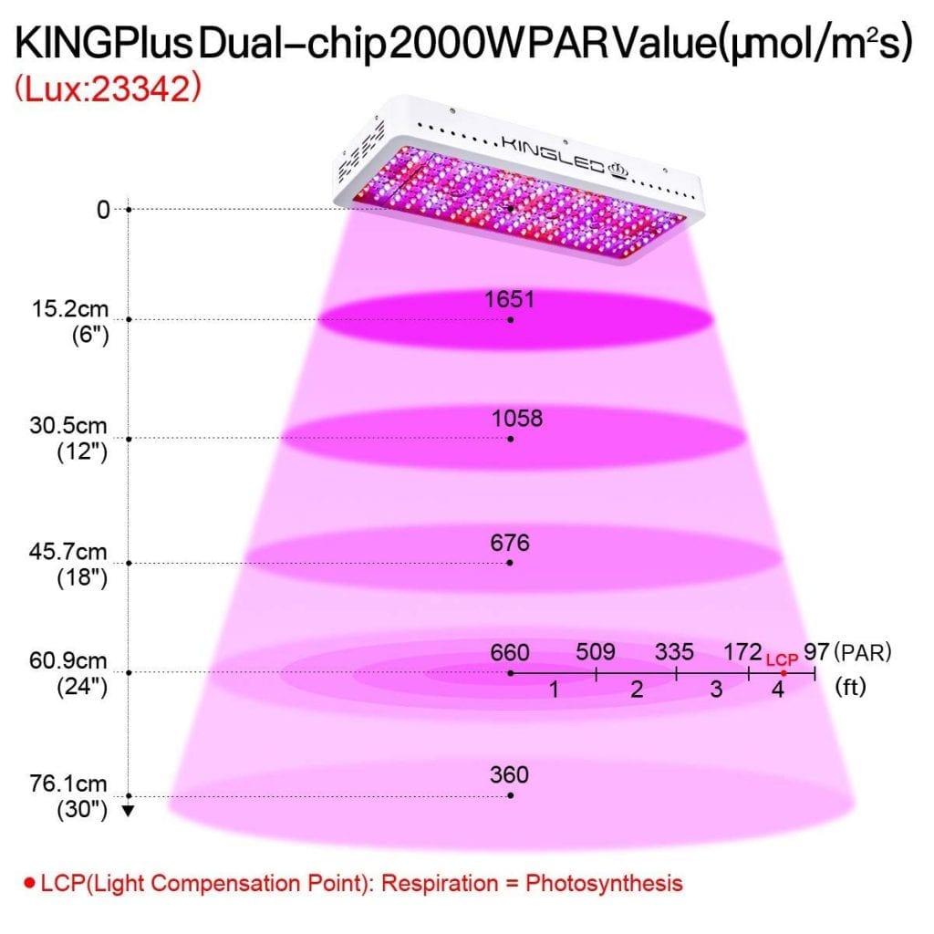 King Plus 2000w PAR value