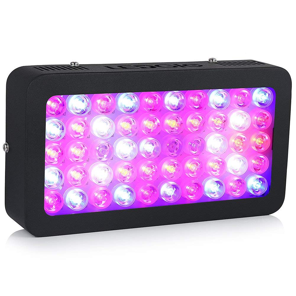 Ledgle LED grow light 300w