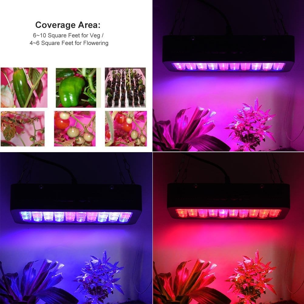 Ledgle LED grow light 300w coverage:switches