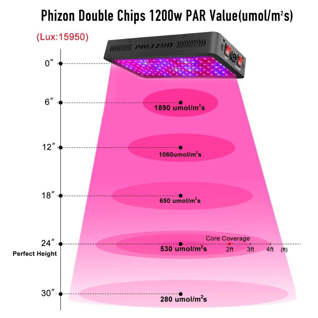 Phlizon Newest 1200w coverage