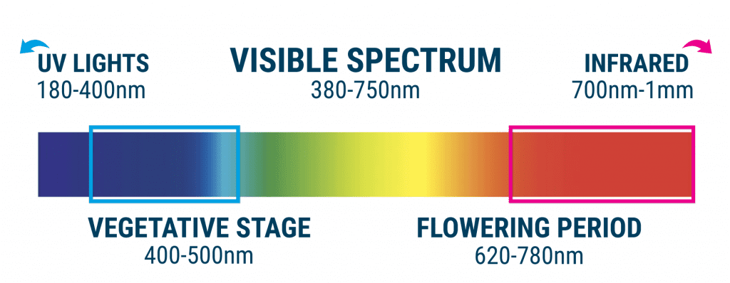 Visible Spectrum