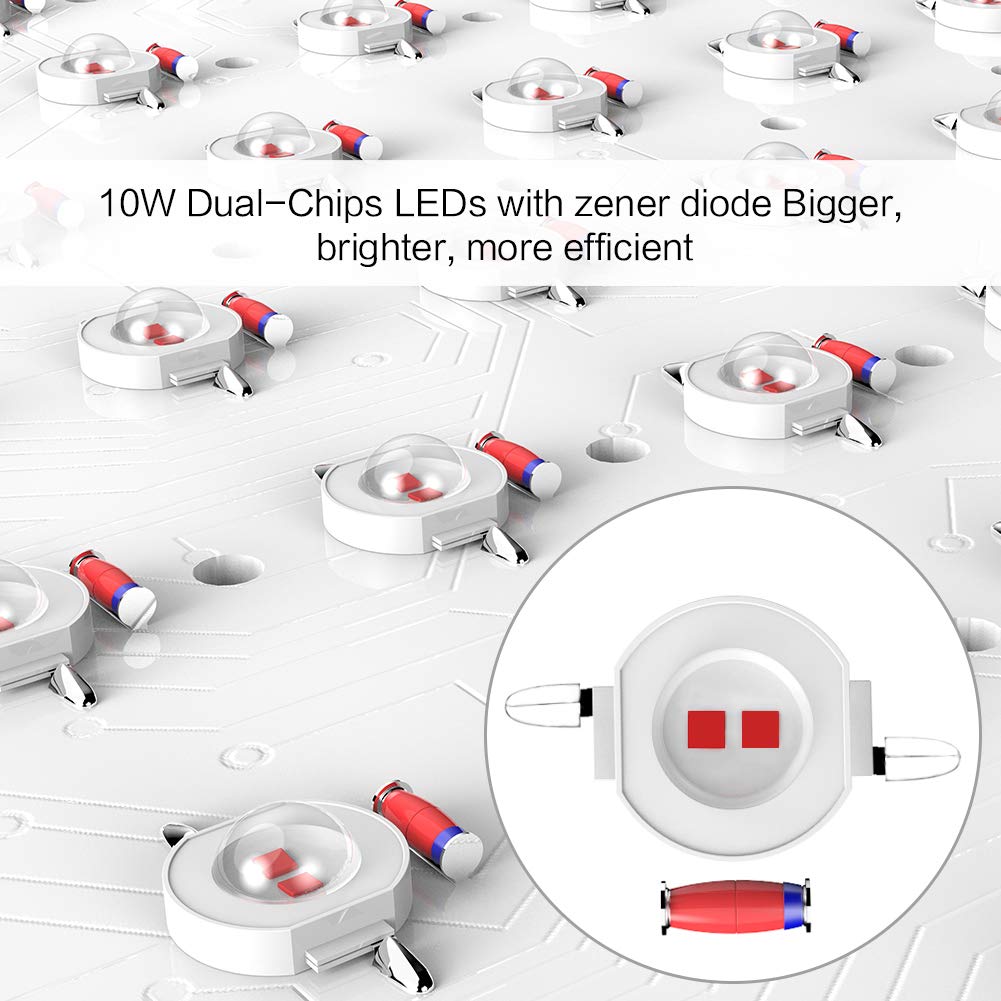 10w LED chips with Zener Diode protection