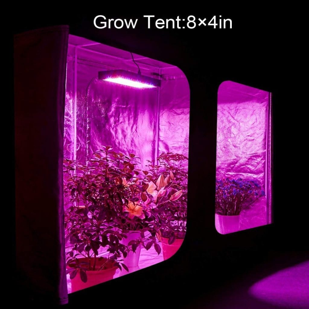 BESTVA 2000w in 4x8 grow tent