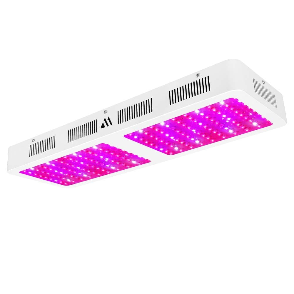 Dimgogo 2000w LED Grow Light Review