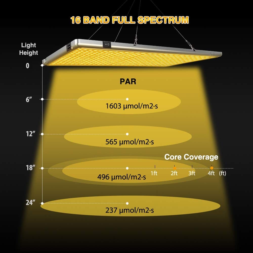 Relassy 300w coverage