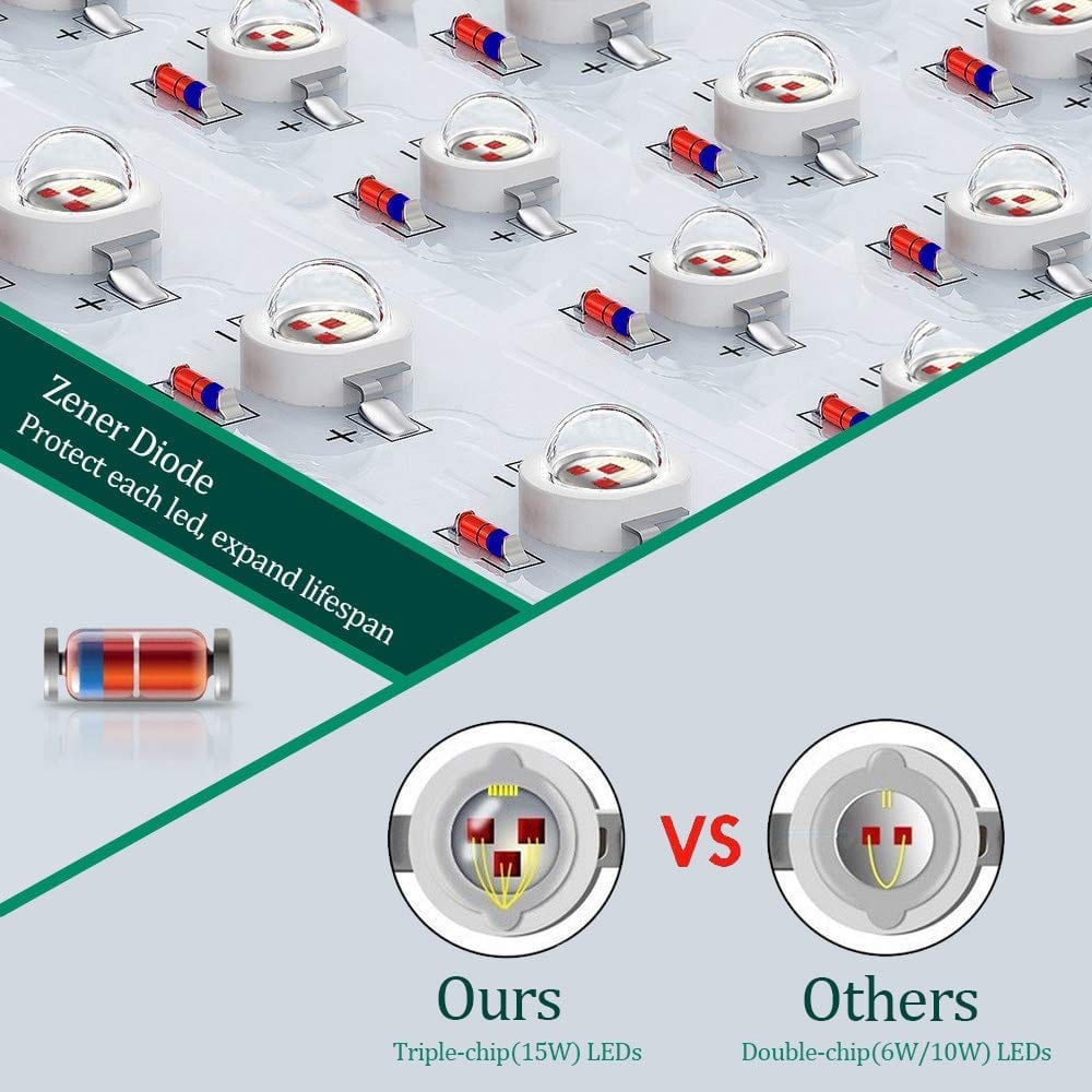 Triple led chips - zener diode protected