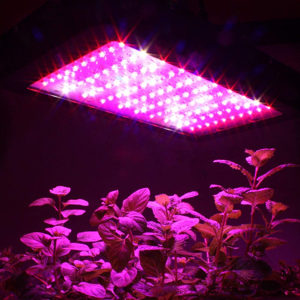 Amico 1200w LED Grow Light