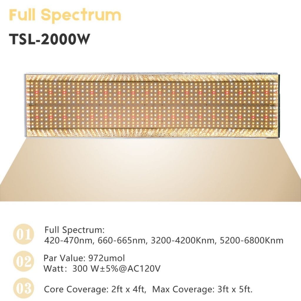 TSL2000W-coverage-1