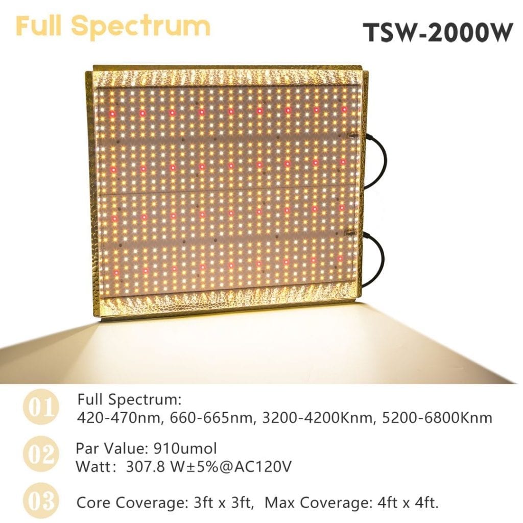 TSW2000w-coverage