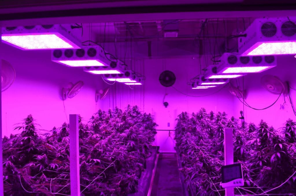 1000 watt LED Grow Light