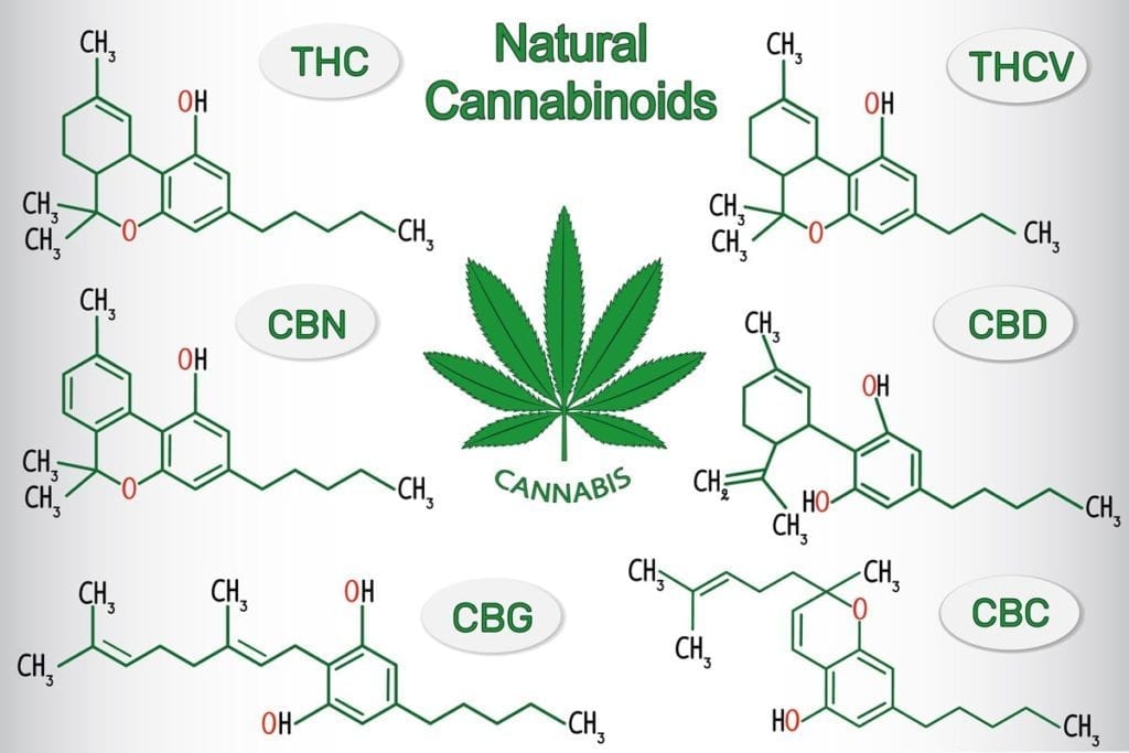 Different Cannabinoids in indica vs sativa