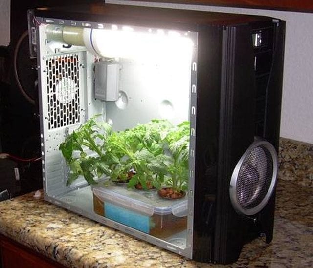 DIY Grow Box Made From Old Computer