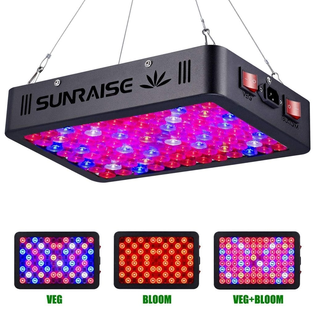 Sunraise 1000w
