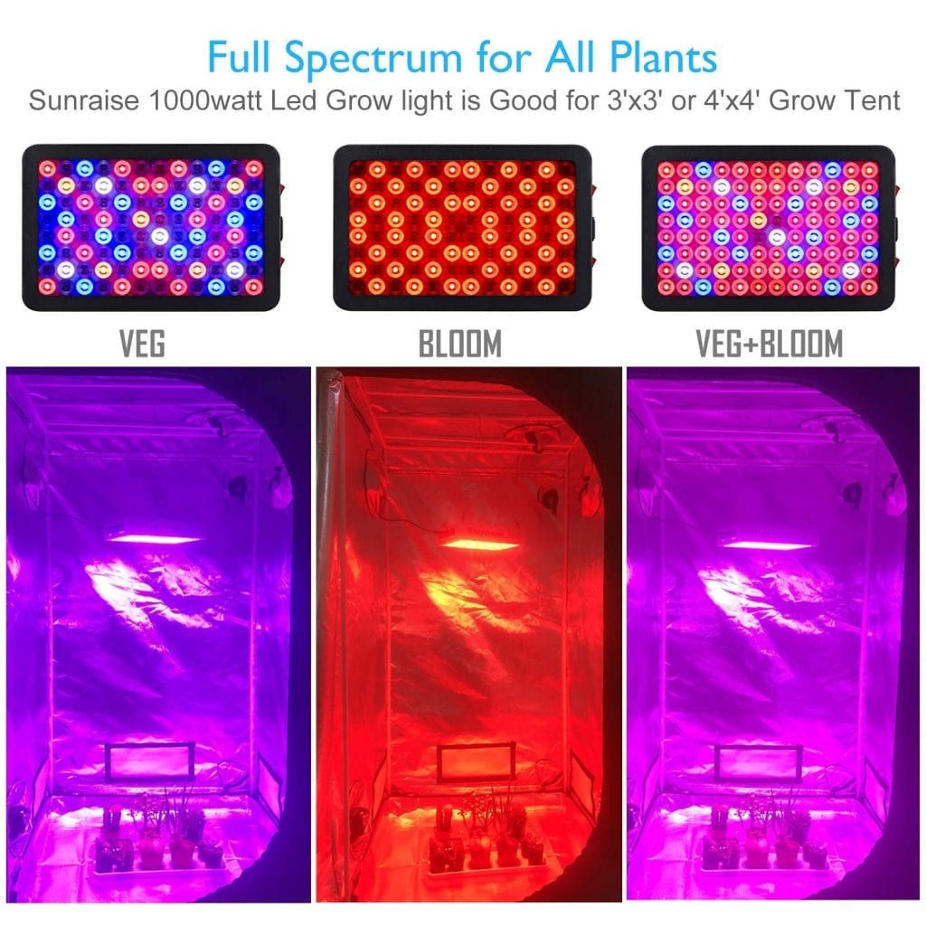 Veg and Bloom switches