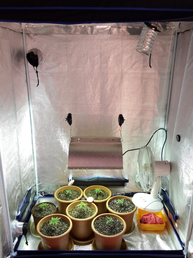 Grow room from the inside