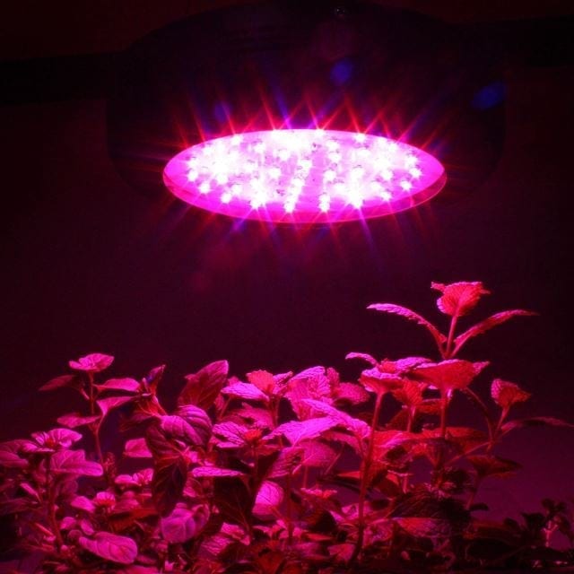 heat output 1000w led grow light