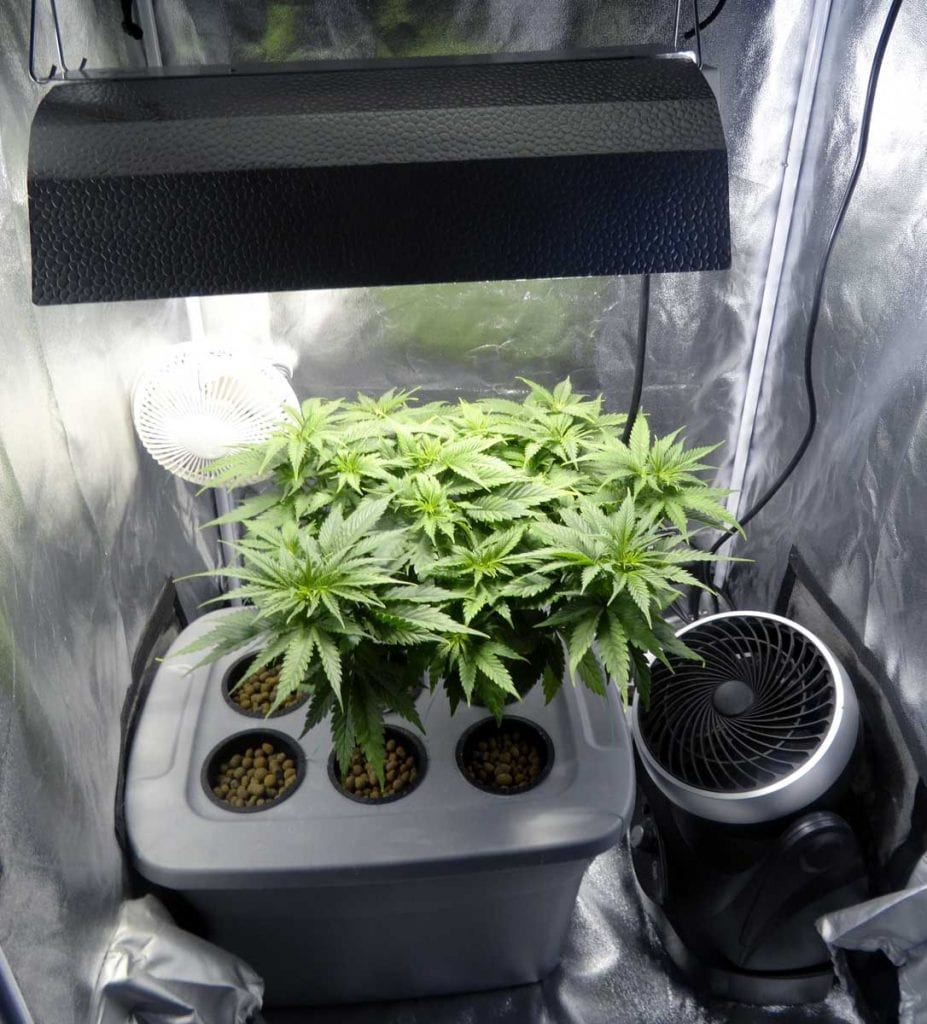 how many plants to maximize grow space