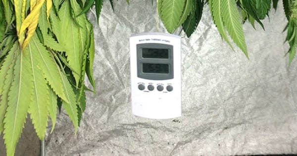 temperature control marijuana