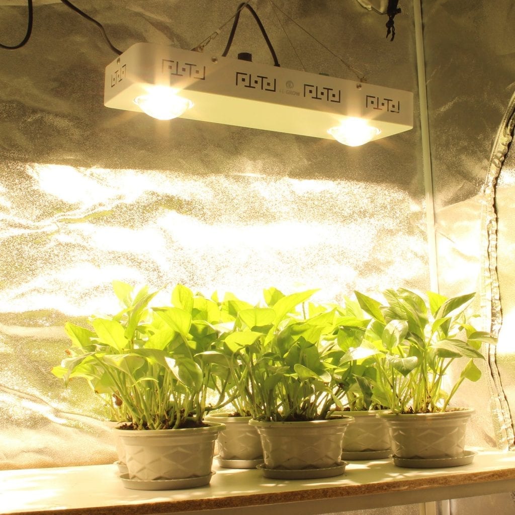 CREE CXB3590 COB LED Grow Light