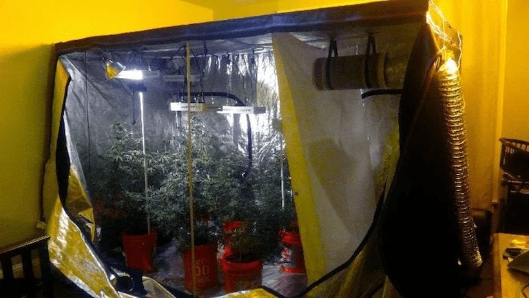 Complete grow tent kit for marijuana