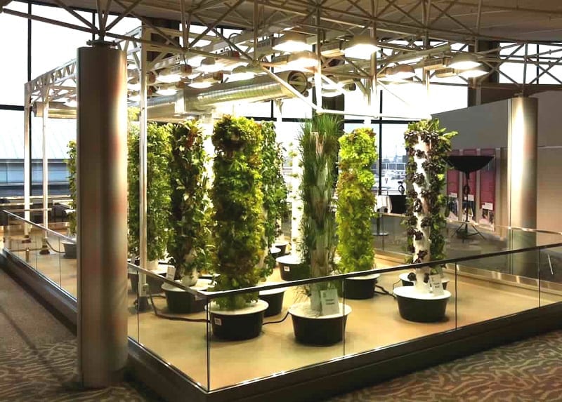 Vertical hydroponic garden