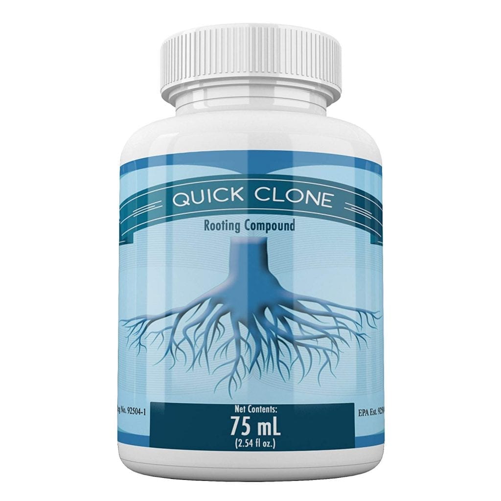 Quick Clone Gel