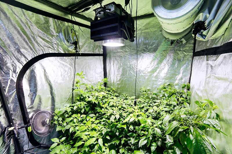 grow room ventilation systems